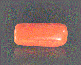 Natural Coral  7.26RTS-27349